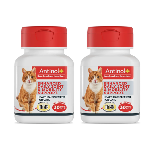 Antinol® Plus for Cats