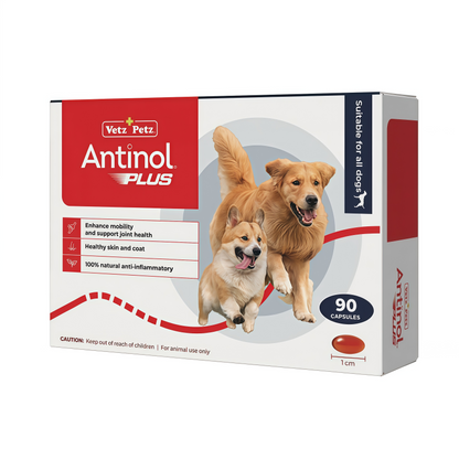 Antinol Plus Mobility