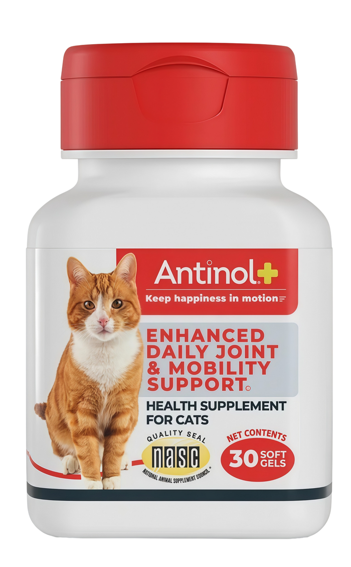 Antinol Plus bottle