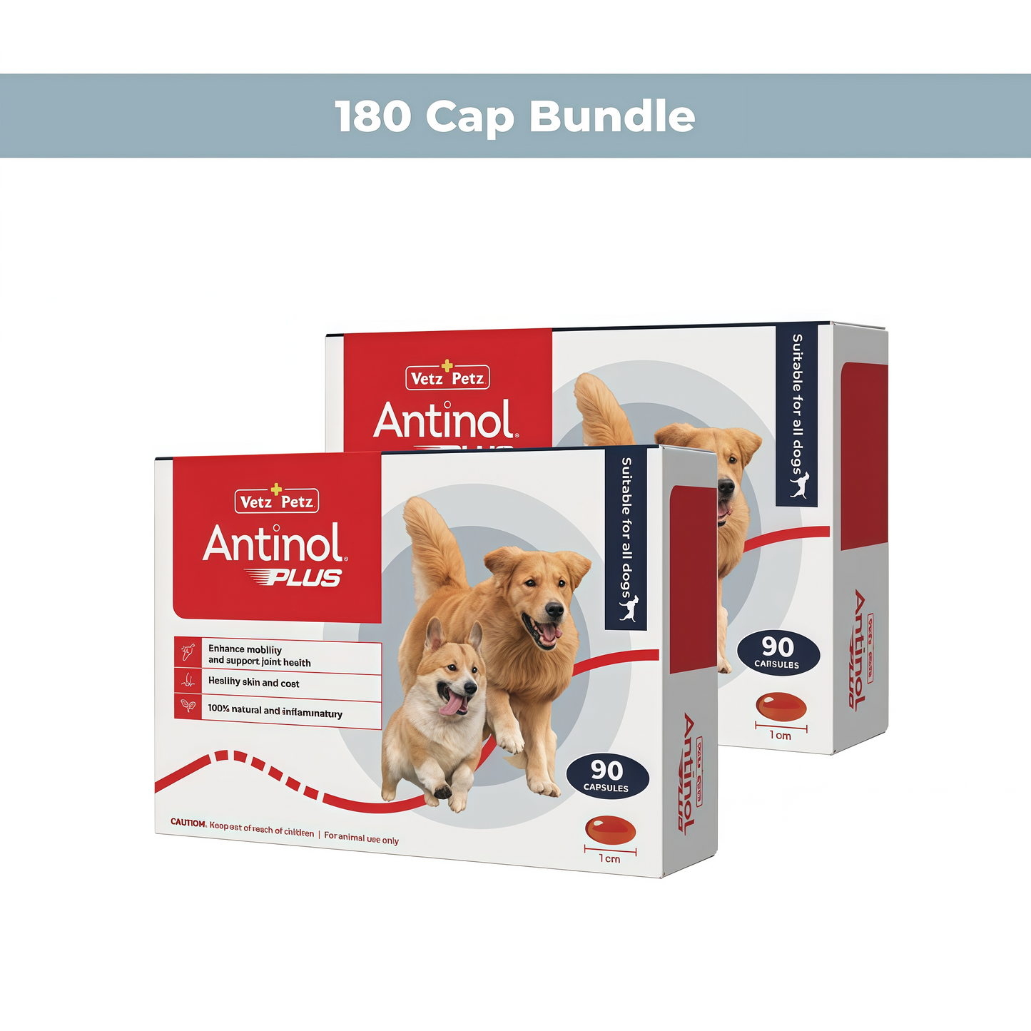 Antinol Plus Mobility