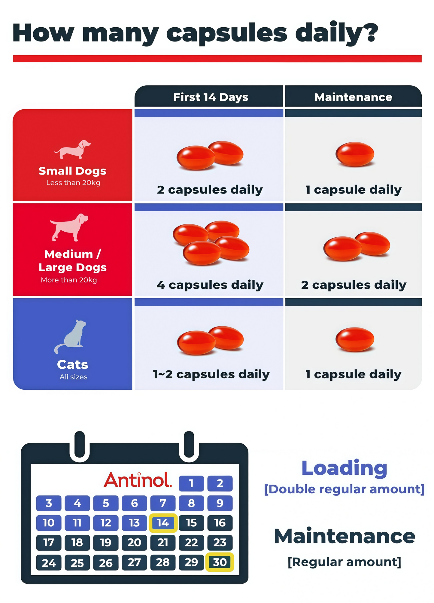 Antinol Plus Mobility