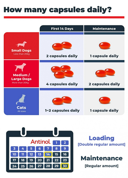 Antinol Plus Mobility